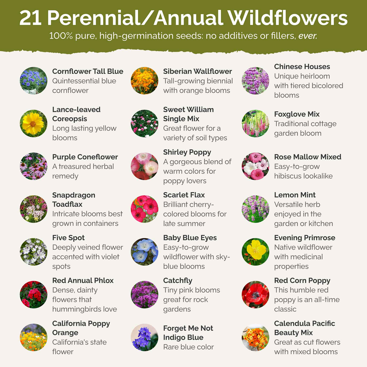 Partial Shade Wildflower Seed Mix