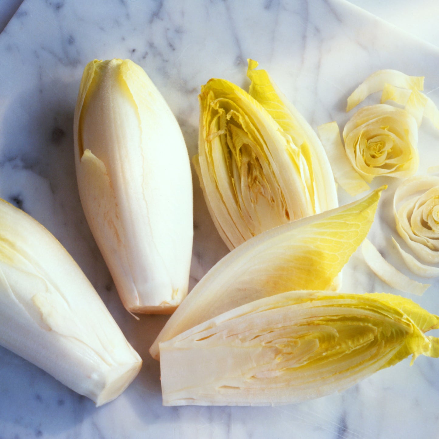 Golden Magnolia Seeds—The “Prince” of European Vegetables