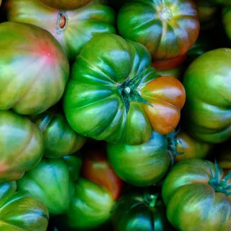 🎊Vegetable Steak🥩-Giant Beef Tomato Seeds🍅
