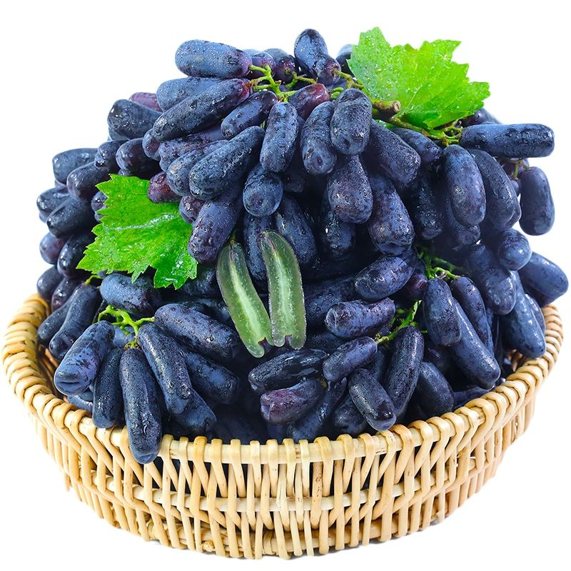 🔥Last Day 50% OFF- High-Quaility Sapphire Grapes Seeds- 98% Germination