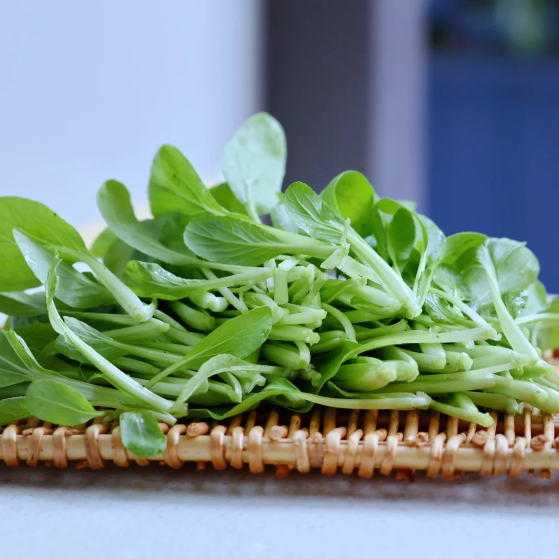 🥬All Year Round Chicken Feather Vegetable Seeds