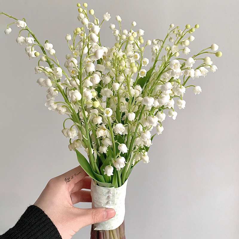 Lily of the Valley Roots