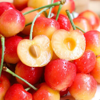 Rainier Cherry Fruit Seeds(🪴Buy 3 Get 1 Free🌿Can be planted in winter)
