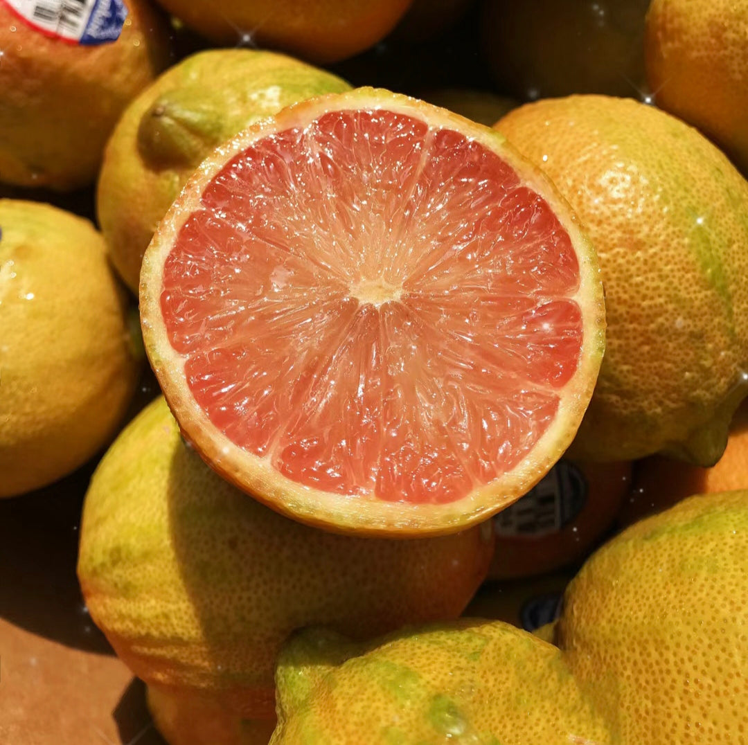 High Survival Rate Lemon Tree Seeds