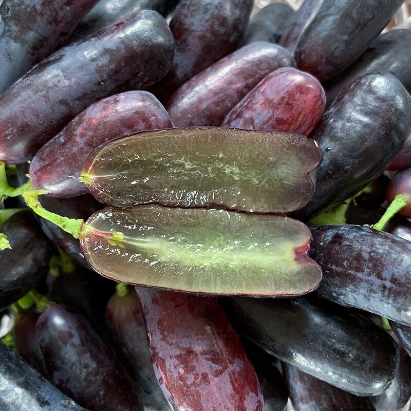 🔥Last Day 50% OFF- High-Quaility Sapphire Grapes Seeds- 98% Germination