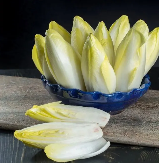Golden Magnolia Seeds—The “Prince” of European Vegetables