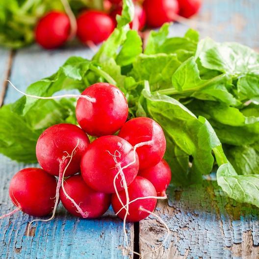 🍒🥕Radish Cherry Belle
