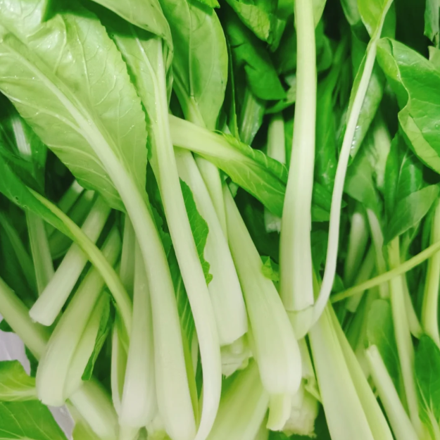 🥬All Year Round Chicken Feather Vegetable Seeds