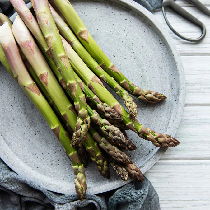 🌿King of Vegetables - Asparagus Mary Washington