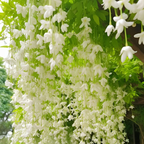 Hanging White Jade Butterfly🌼