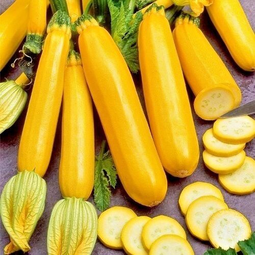 Golden Zucchini Seeds