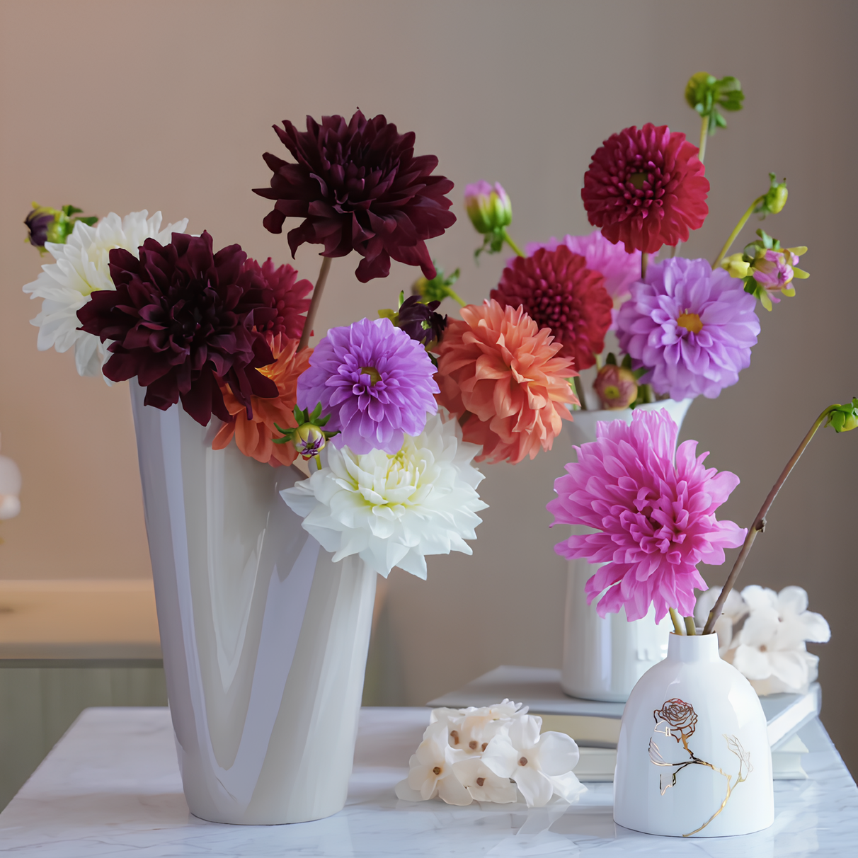 💐Dahlia Double Blend Rainbow Seeds