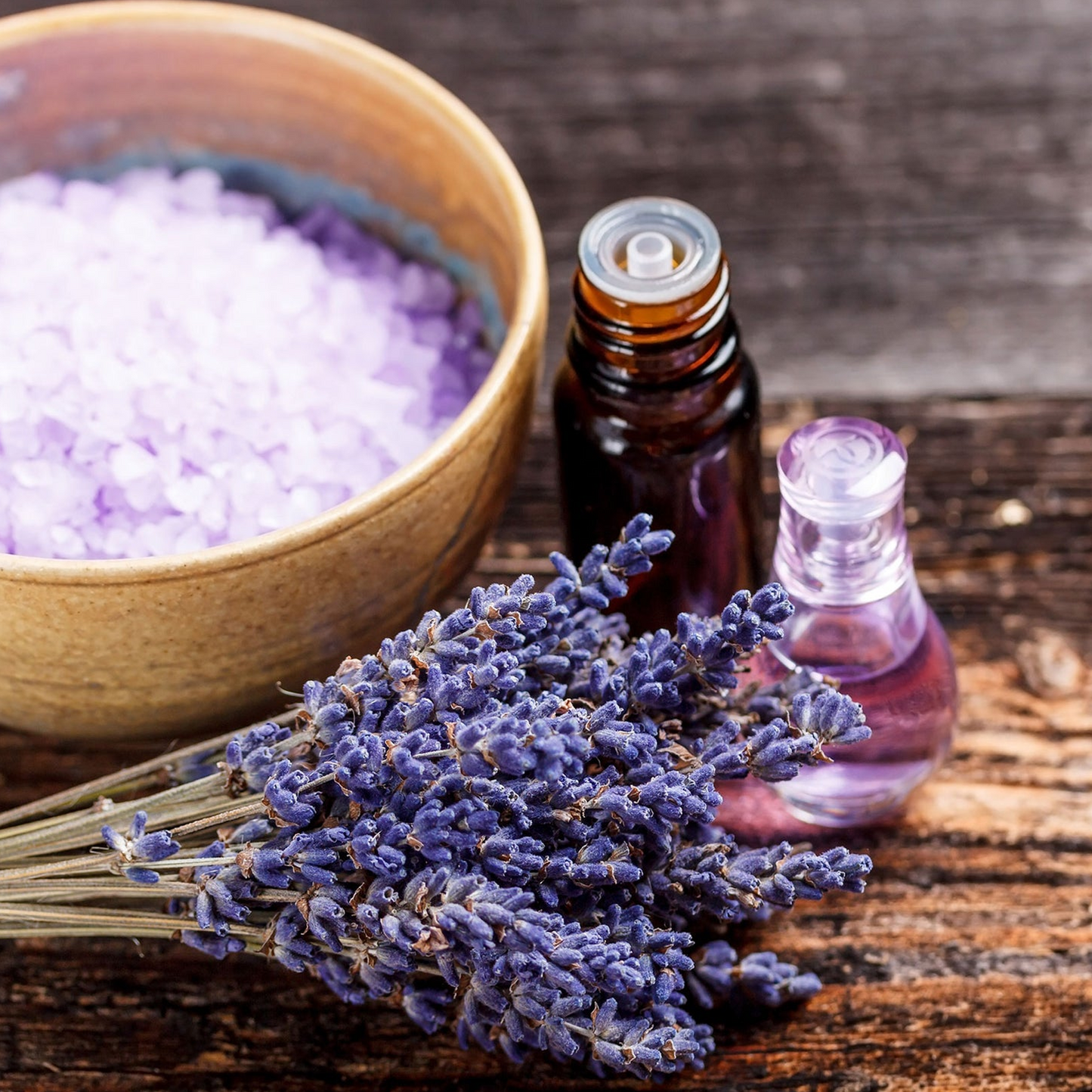 Lavender Seeds - Packet / Bulk