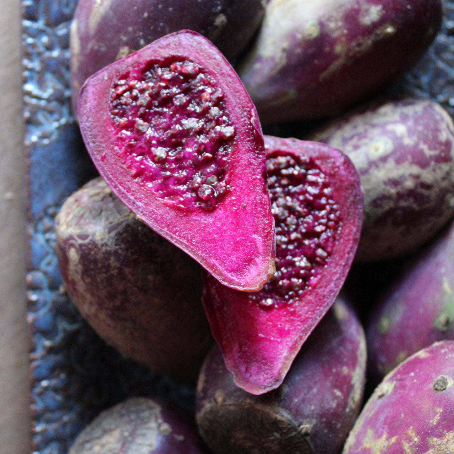 Edible Nopales Prickly Pear Cactus Seeds