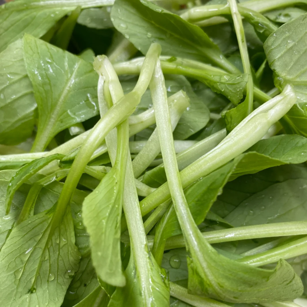 🥬All Year Round Chicken Feather Vegetable Seeds