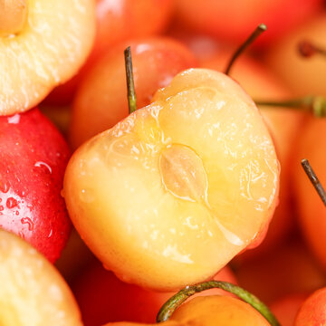 Rainier Cherry Fruit Seeds(🪴Buy 3 Get 1 Free🌿Can be planted in winter)