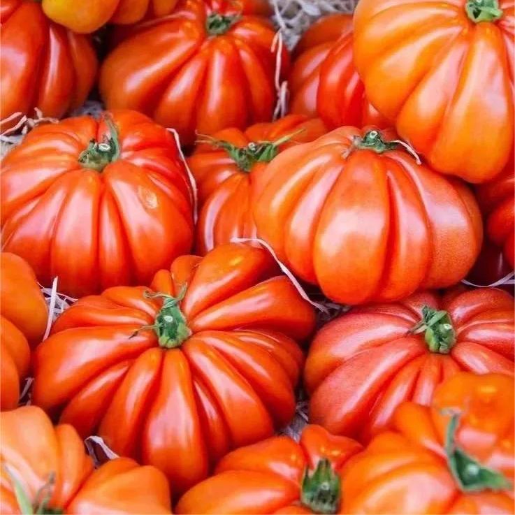 🎊Vegetable Steak🥩-Giant Beef Tomato Seeds🍅